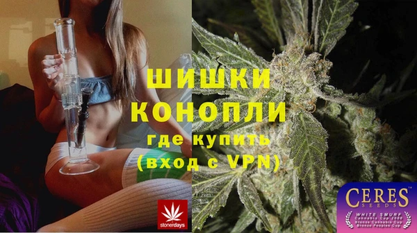 трава Алзамай