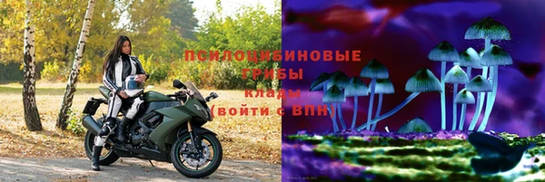 ешки Алексеевка