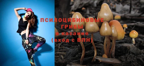 стафф Новодвинск